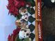 English Bulldog Puppies for sale in Athens, GA, USA. price: NA