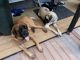 English Mastiff Puppies for sale in Honey Brook, PA 19344, USA. price: $1,295