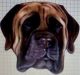 English Mastiff Puppies for sale in Oakfield, NY 14125, USA. price: NA