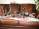 English Mastiff Puppies for sale in Atlas, MI 48411, USA. price: $1,100