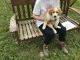 English Shepherd Puppies for sale in 17441 E Huffer Rd, Hope, IN 47246, USA. price: $450