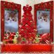 Exotic Shorthair Cats for sale in Salem, IN 47167, USA. price: $800
