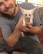 Fennec Fox Animals for sale in Central, SC 29630, USA. price: NA
