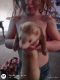 Ferret Animals for sale in Dushore, PA 18614, USA. price: NA