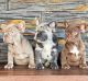 French Bulldog Puppies for sale in Cleveland, OH, USA. price: $2,000