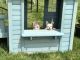 French Bulldog Puppies for sale in Tullahoma, TN, USA. price: NA