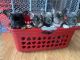 French Bulldog Puppies for sale in Defiance, OH 43512, USA. price: NA