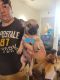 French Bulldog Puppies for sale in New Orleans, LA, USA. price: $200