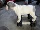 French Bulldog Puppies for sale in Riverside, CA 92509, USA. price: $4,500