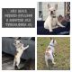 French Bulldog Puppies for sale in Tuscaloosa, AL 35401, USA. price: $3,000