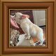 French Bulldog Puppies for sale in Fincastle, VA 24090, USA. price: $3,000