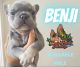 French Bulldog Puppies for sale in Conyers, GA, USA. price: $4,500