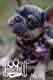 French Bulldog Puppies for sale in Richmond, VA, USA. price: $5,000