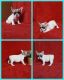 French Bulldog Puppies for sale in Milan, MO 63556, USA. price: $1,400