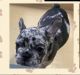 French Bulldog Puppies for sale in Conroe, TX 77385, USA. price: $2,500
