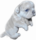 French Bulldog Puppies for sale in Sugar Grove, Ohio. price: $4,000