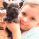 French Bulldog Puppies for sale in 45356 Maple View Cir, Caldwell, OH 43724, USA. price: NA