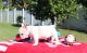 French Bulldog Puppies for sale in Allentown, PA, USA. price: $300