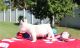 French Bulldog Puppies for sale in Cedar Rapids, IA, USA. price: NA