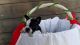 French Bulldog Puppies for sale in Arlington, TX, USA. price: $1,300