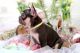 French Bulldog Puppies for sale in Doral, FL, USA. price: $450