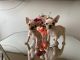 French Bulldog Puppies for sale in Chula Vista, CA, USA. price: $3,200
