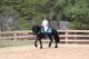Friesian Horse Horses for sale in Los Angeles, CA 90001, USA. price: NA