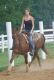 Gelderland Horses for sale in Georgetown, GA, USA. price: NA