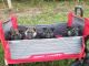 German Shepherd Puppies for sale in Montezuma, GA 31063, USA. price: NA