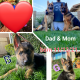 German Shepherd Puppies for sale in Rancho Cordova, CA 95670, USA. price: NA