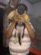 German Shepherd Puppies for sale in Andul Station Rd, Ramrajatala, Rajarbagan, Andul, Howrah, West Bengal 711302, India. price: 12000 INR