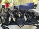 German Shepherd Puppies for sale in Orlando, FL, USA. price: $850