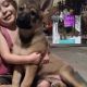 German Shepherd Puppies for sale in Martinsburg, WV, USA. price: NA