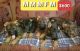 German Shepherd Puppies for sale in Guthrie, OK, USA. price: NA