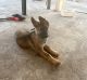 German Shepherd Puppies for sale in Cutler Bay, FL, USA. price: NA