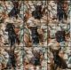 German Shepherd Puppies for sale in Guthrie, OK, USA. price: NA