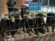 German Shepherd Puppies for sale in Aiken, SC, USA. price: $400