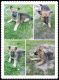 German Shepherd Puppies for sale in Quinlan, TX 75474, USA. price: $350