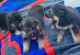 German Shepherd Puppies for sale in Rutherford, NJ, USA. price: NA