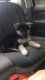 German Shepherd Puppies for sale in New Braunfels, TX, USA. price: NA