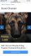 German Shepherd Puppies for sale in Pensacola, FL, USA. price: $950