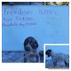 German Shorthaired Pointer Puppies for sale in Wichita, KS, USA. price: NA