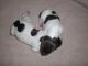 German Shorthaired Pointer Puppies for sale in Riverdale, MI 48877, USA. price: NA