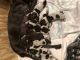 German Shorthaired Pointer Puppies for sale in Bloomington, IN, USA. price: $1,000