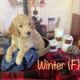 Golden Doodle Puppies for sale in Allentown, PA, USA. price: NA
