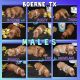 Golden Doodle Puppies for sale in Boerne, TX 78006, USA. price: NA