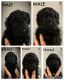 Golden Doodle Puppies for sale in Church Point, LA 70525, USA. price: NA