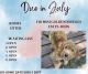 Golden Doodle Puppies for sale in Summerville, SC, USA. price: $2,400