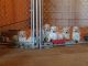 Golden Doodle Puppies for sale in Dundee, OH 44624, USA. price: $950