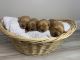 Golden Retriever Puppies for sale in West Haven, UT, USA. price: $2,000